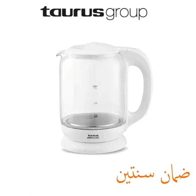 Bouilloire électrique en verre élégante - TAURUS